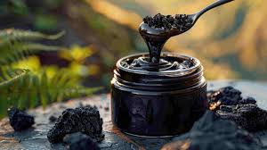 GB original shilajit [Mineral of Himalayas]